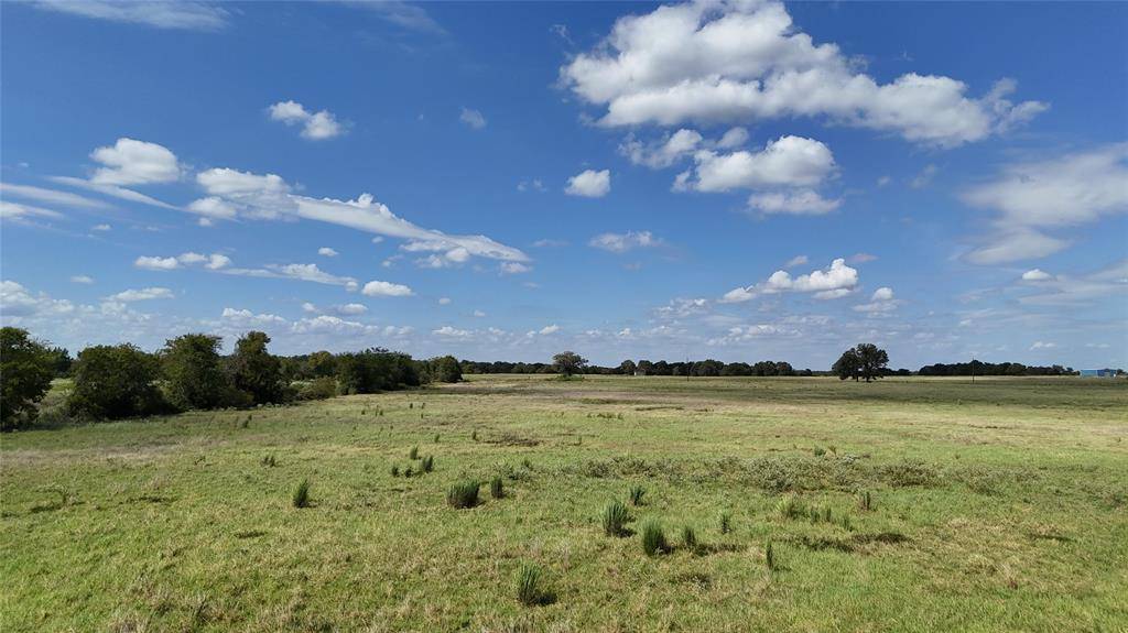 TBD 20 Acres SE CR 3150, Corsicana, TX 75109