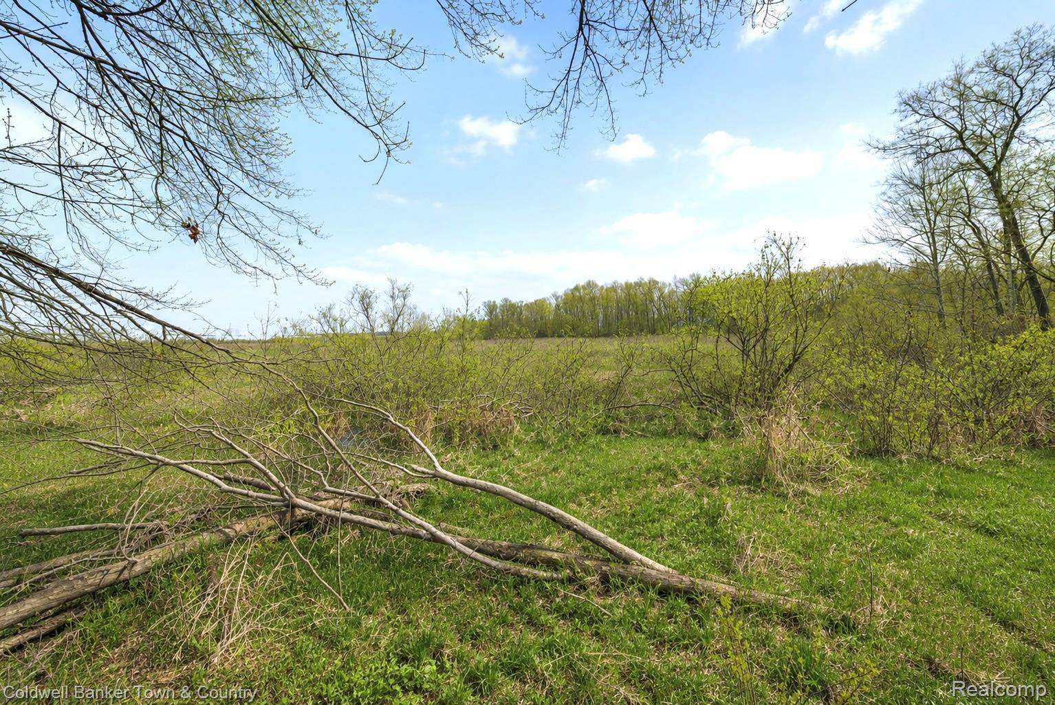 VL Spears, Unadilla Township, MI 48137