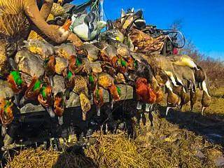 TBD Camp Creek Rd, Temple, TX 76501