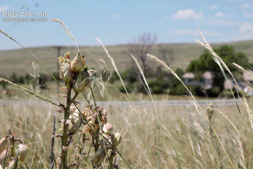 Tract 11 McClelland RD, Calhan, CO 80808