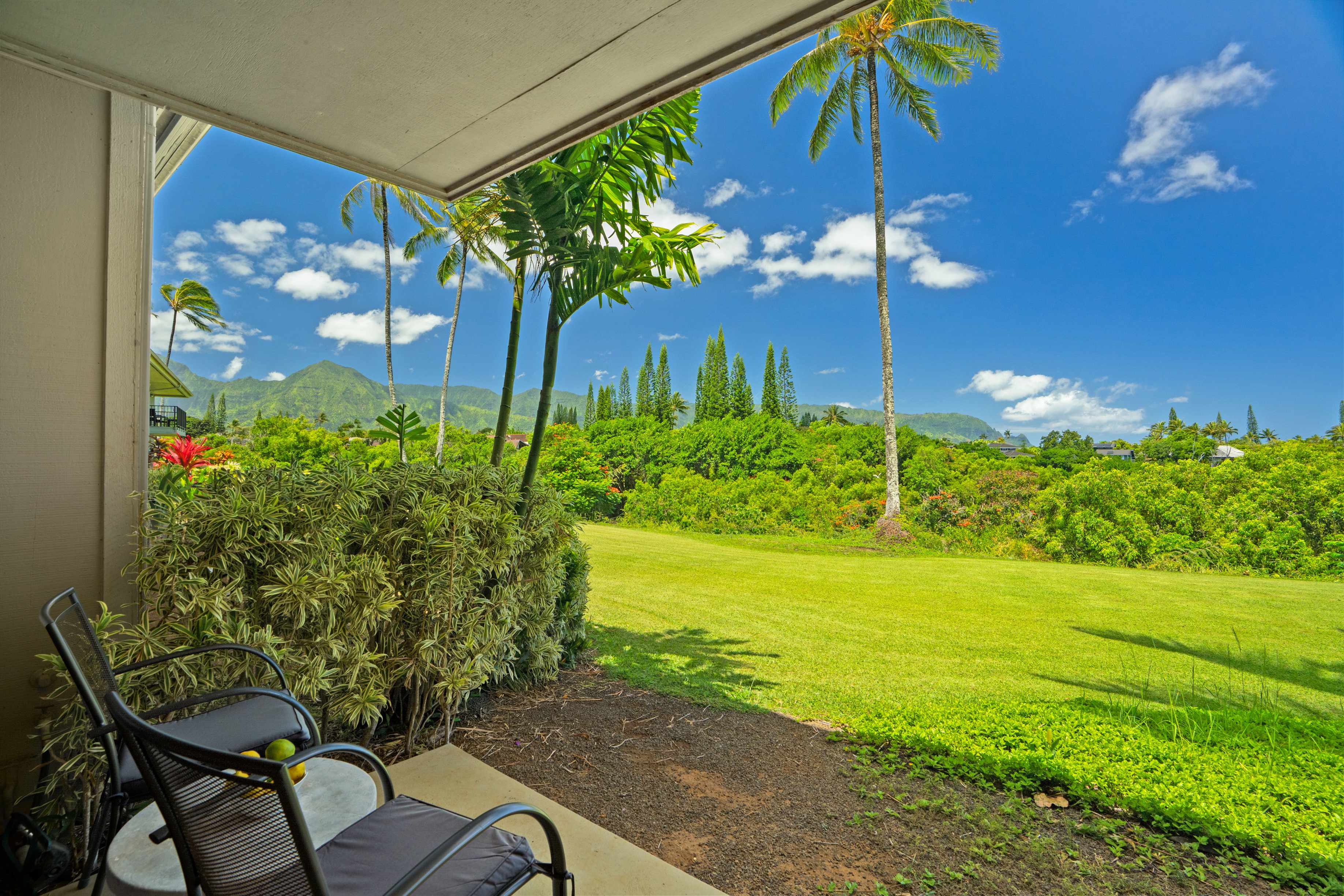 3830 EDWARD RD #12D, Princeville, HI 96722