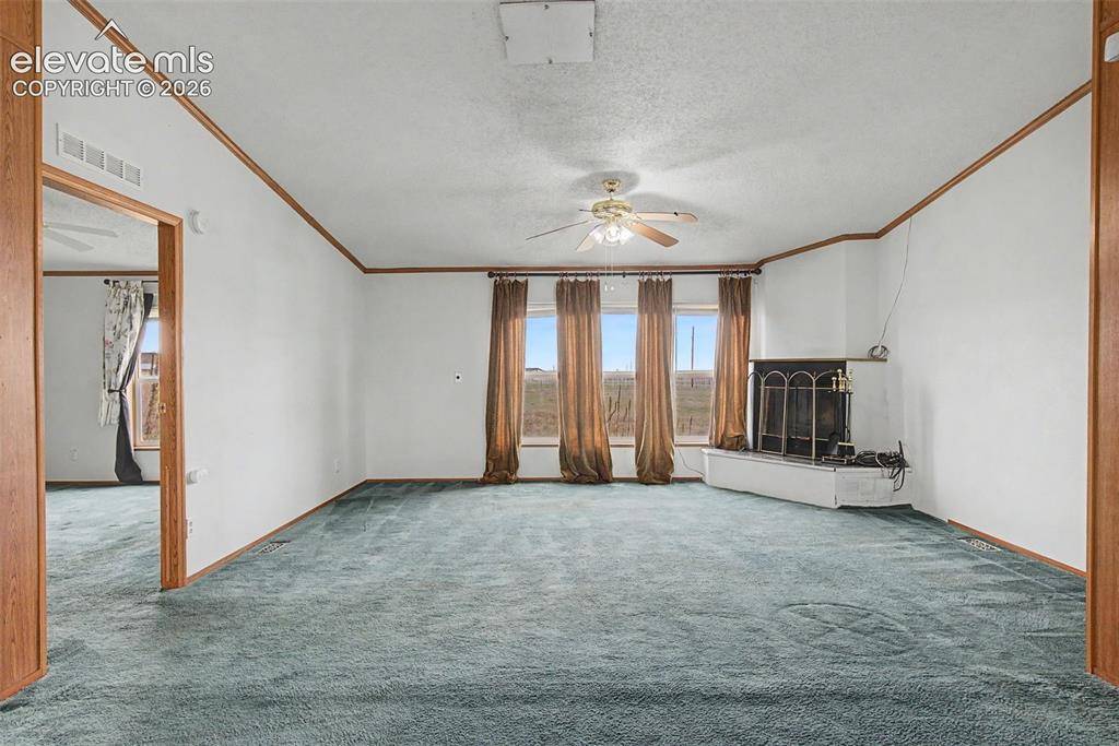 11770 Tracy LN, Peyton, CO 80831