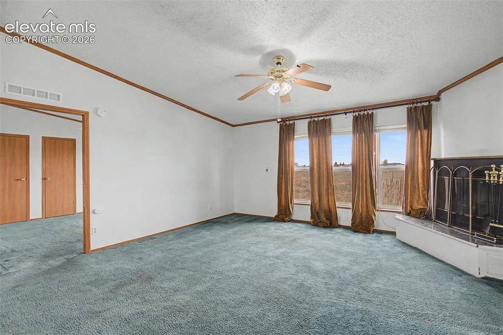 11770 Tracy LN, Peyton, CO 80831