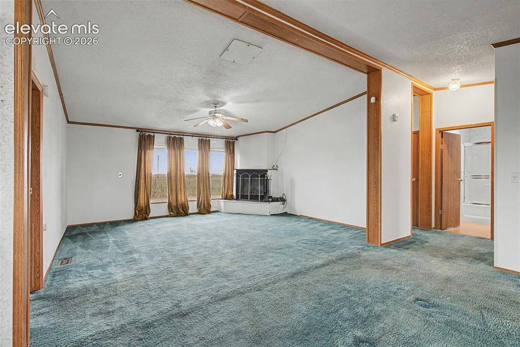 11770 Tracy LN, Peyton, CO 80831