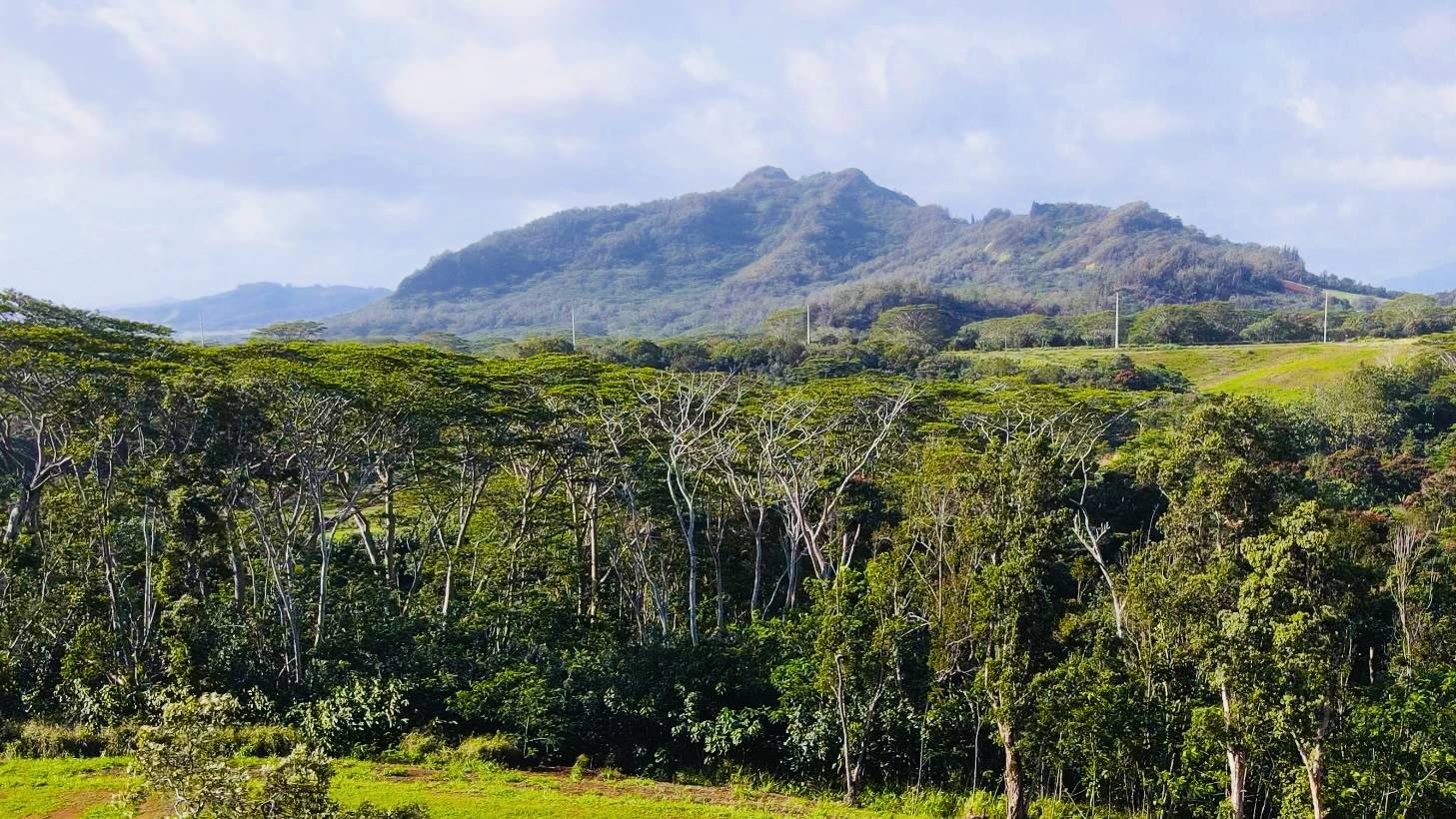 #7E, Kapaa, HI 96746