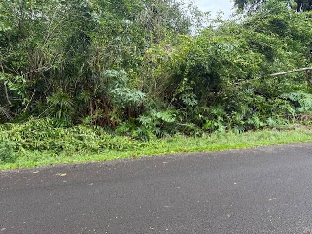15-716 PUNI MAUKA LOOP, Pahoa, HI 96778