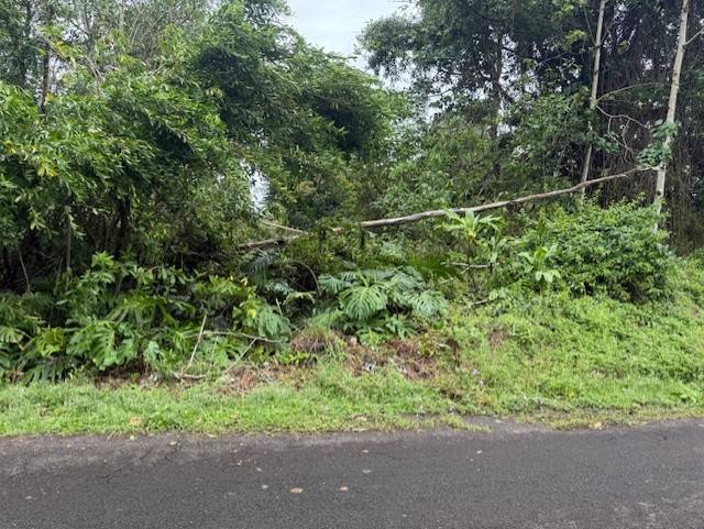15-716 PUNI MAUKA LOOP, Pahoa, HI 96778