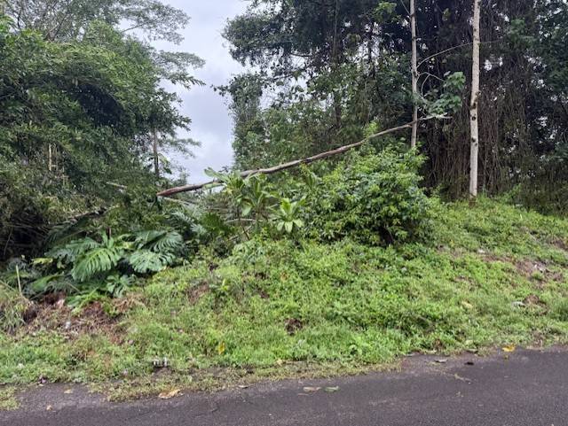 15-716 PUNI MAUKA LOOP, Pahoa, HI 96778