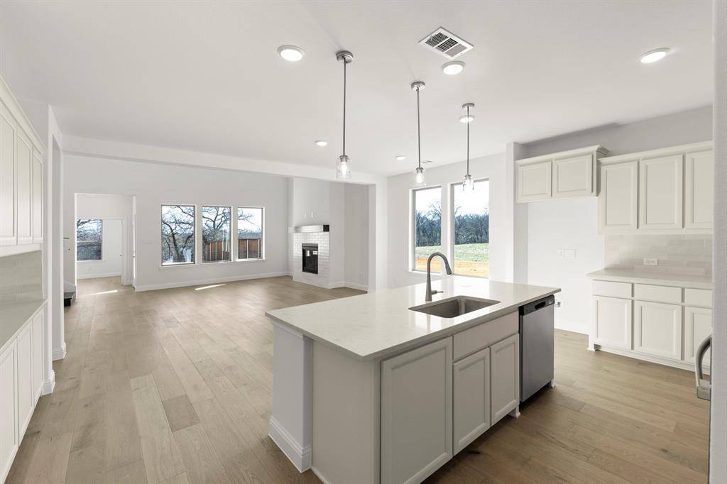 4401 Glenn Springs Way, Little Elm, TX 75068