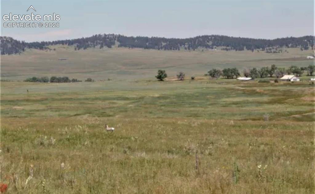 Tract 8 McClelland RD, Calhan, CO 80808