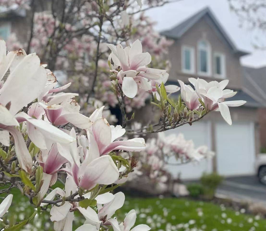 1403 BAYSHIRE DR, Oakville, ON L6H 6E8
