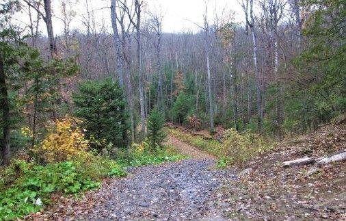 1827 Hybla RD, Hastings Highlands, ON K0L 1C0