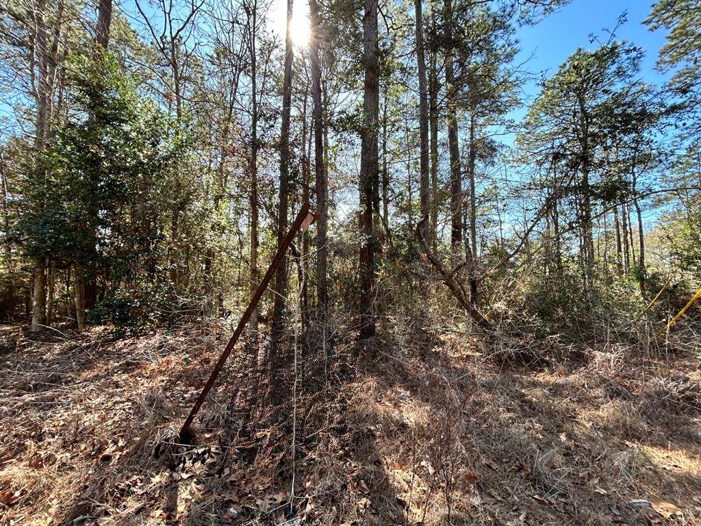 Lot 8 Sir Ewaine Drive, Woodville, TX 75979