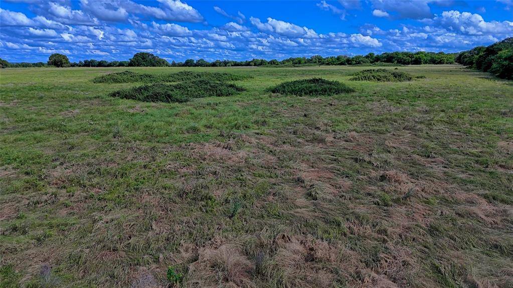 1494 Alamo Road, Montague, TX 76251