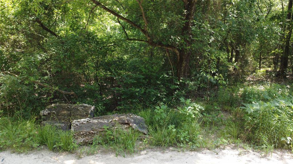 TBD 1.9 Acres Lot 36, Wills Point, TX 75169