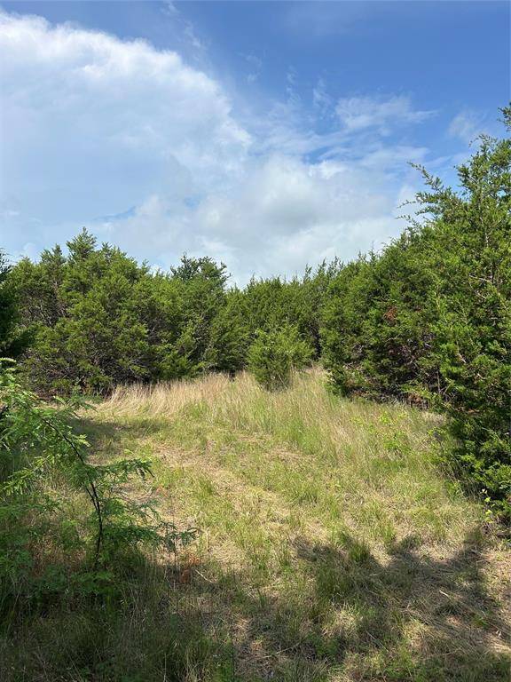 3049 FM 1434, Cleburne, TX 76033