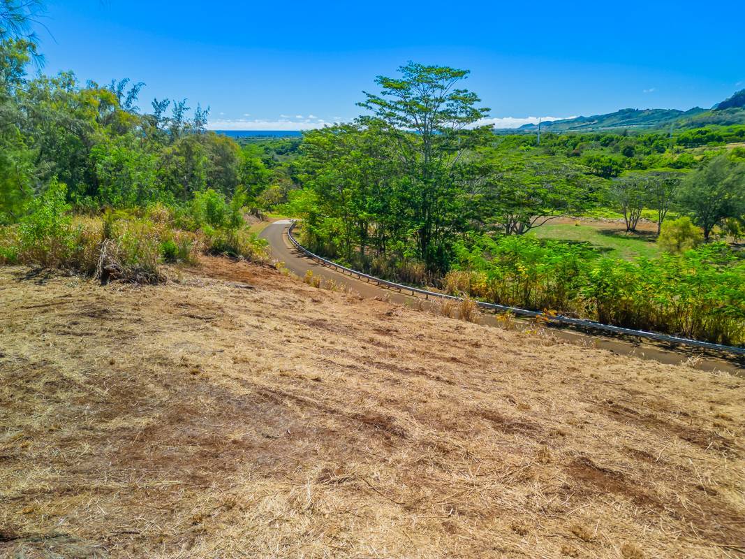 #9E, Kapaa, HI 96746