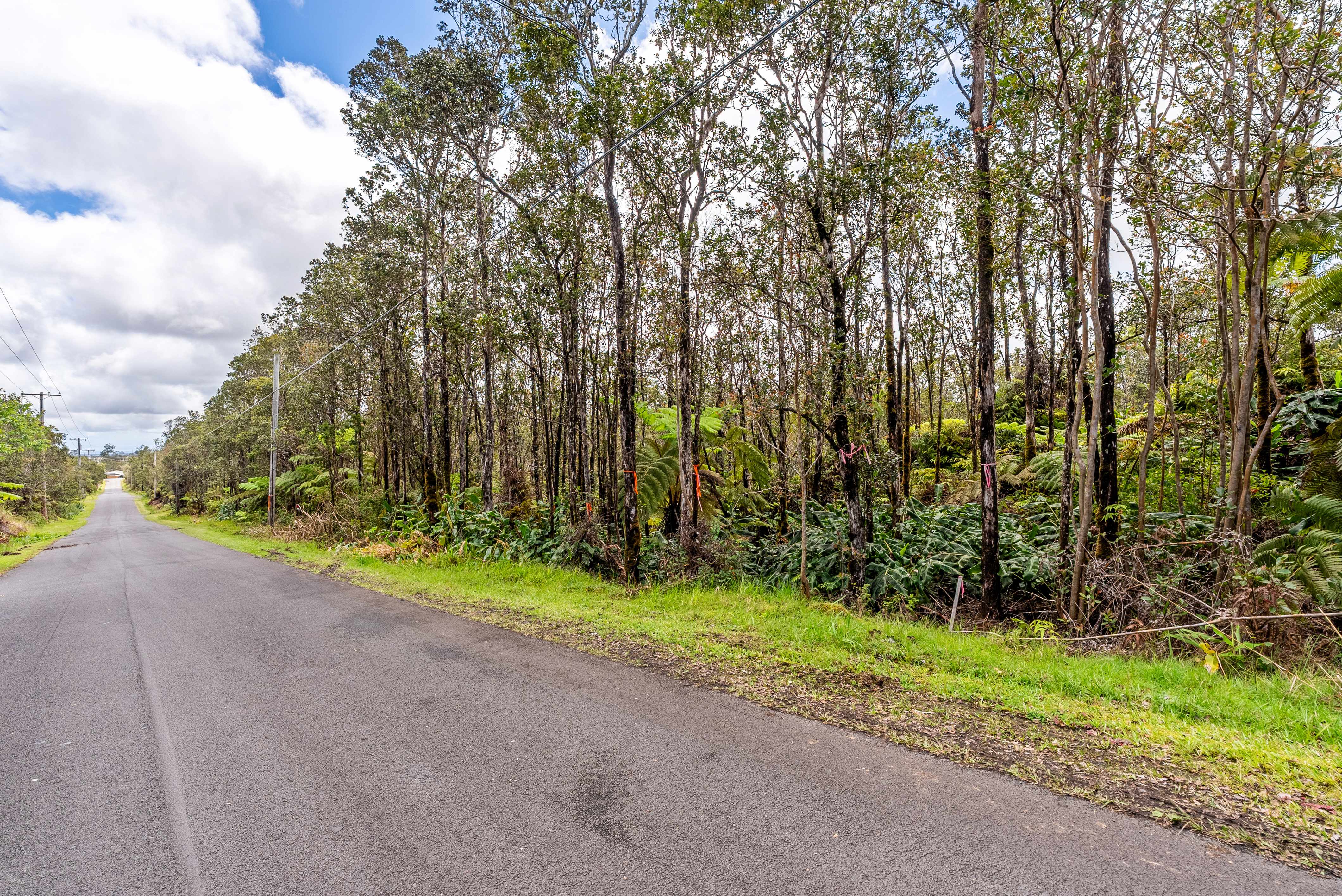 11-3185 ALAULA ST, Volcano, HI 96785