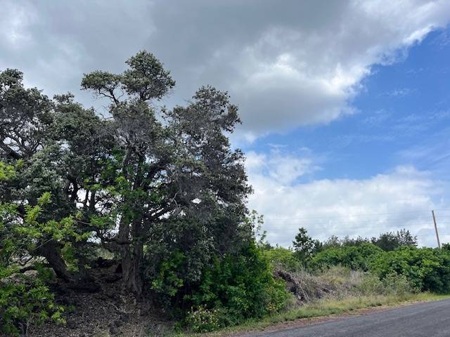 MACADAMIA DR, Ocean View, HI 96737