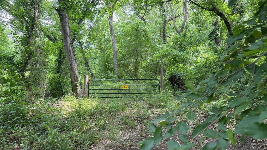 TBD CR 470, Blue Ridge, TX 75071
