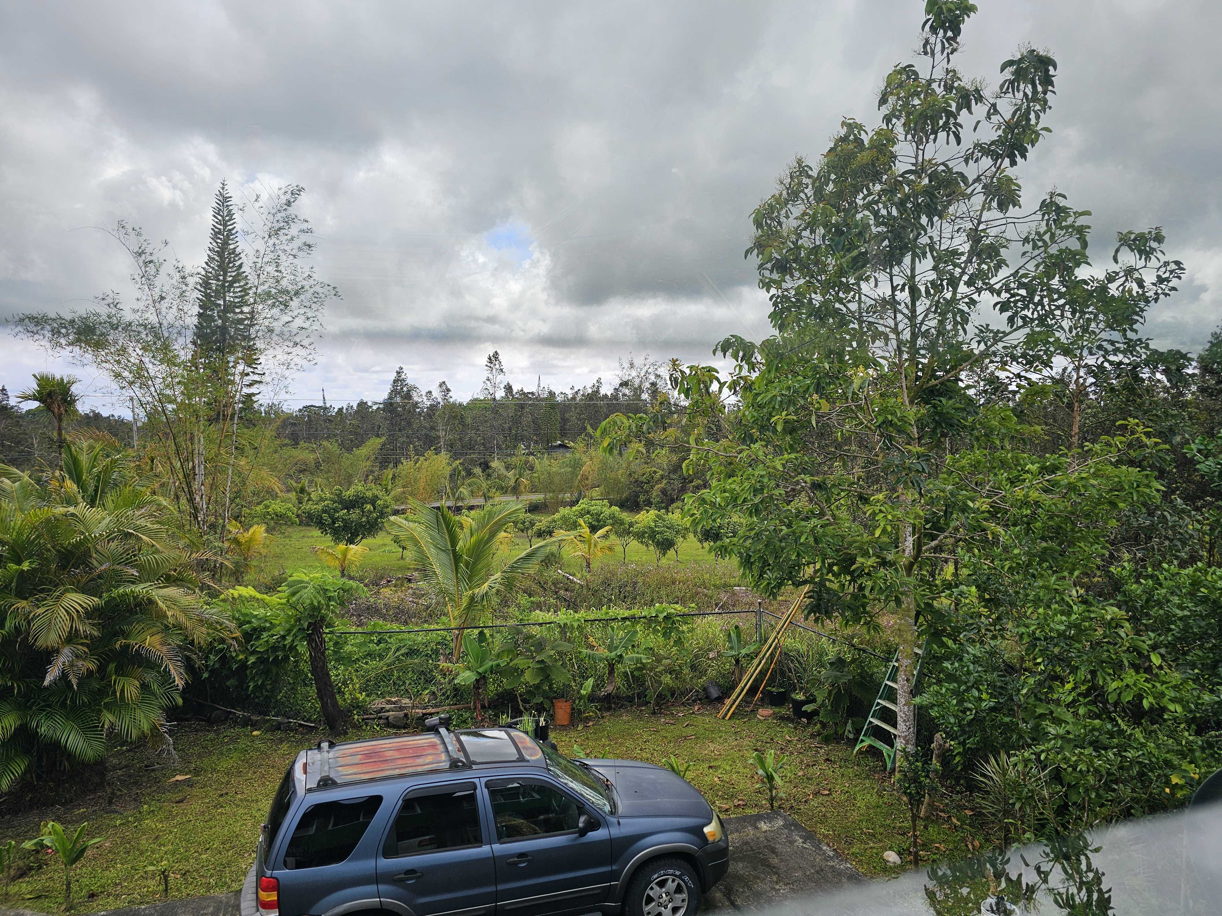 16-1754 UHINI ANA RD, Mountain View, HI 96771