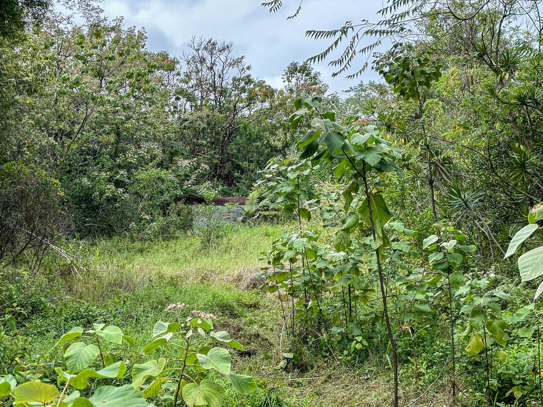 250 LAULA RD, Hilo, HI 96720