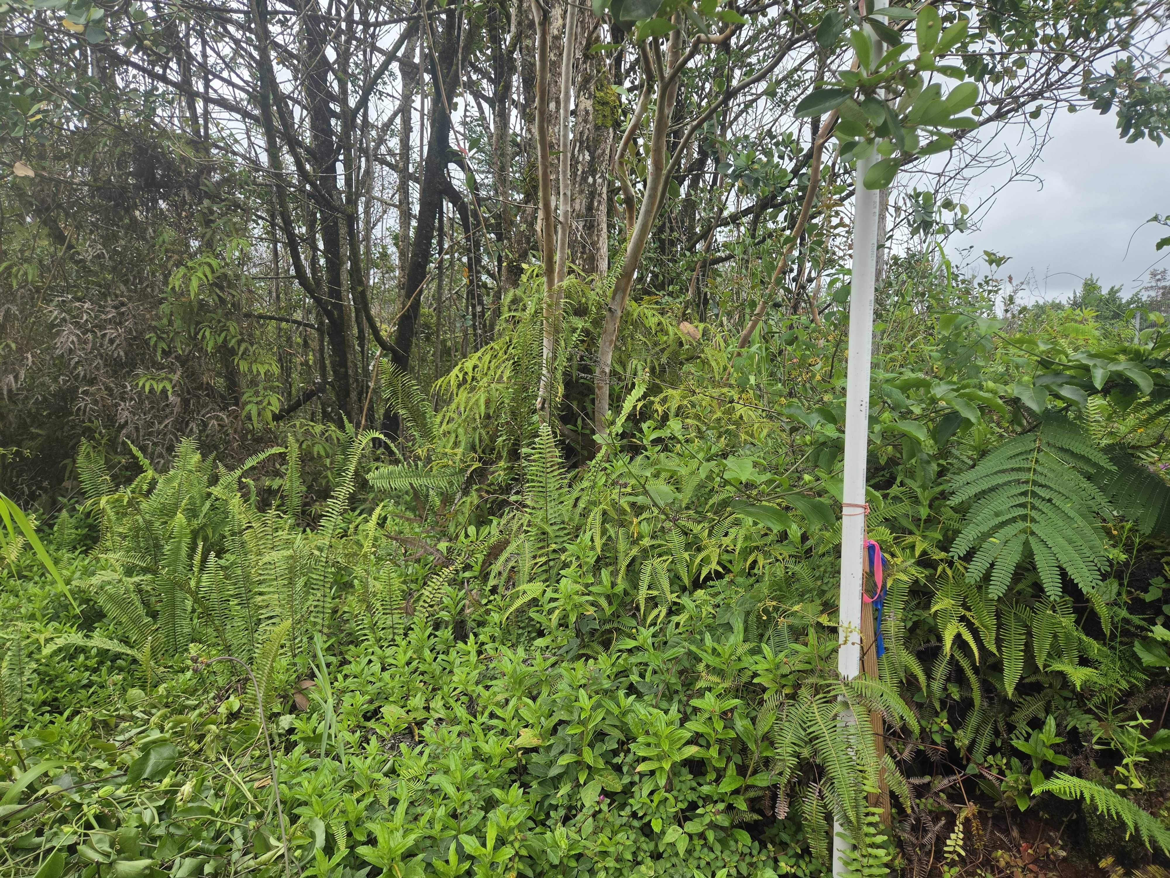 34TH AVE, Kurtistown, HI 96760