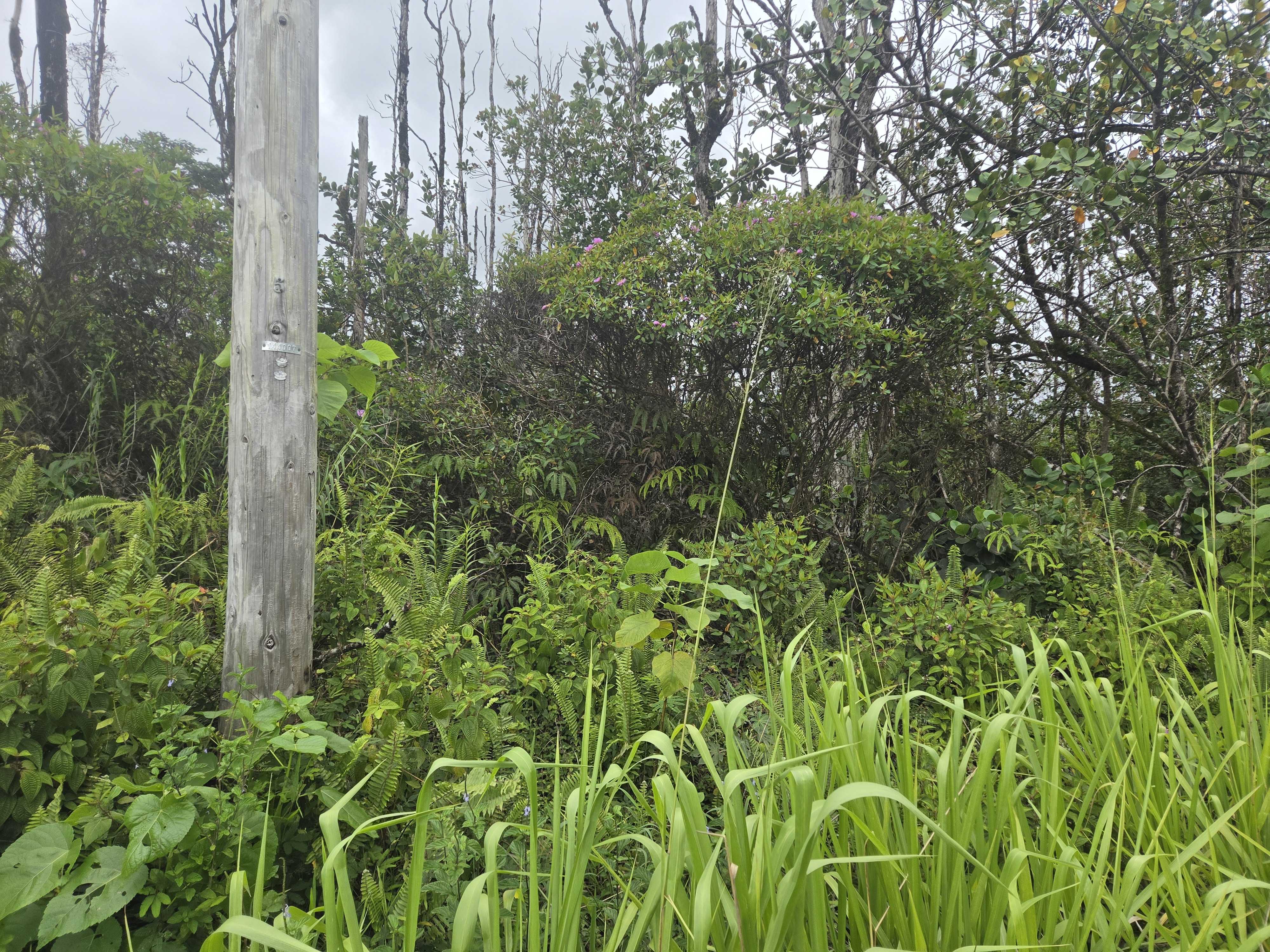 34TH AVE, Kurtistown, HI 96760