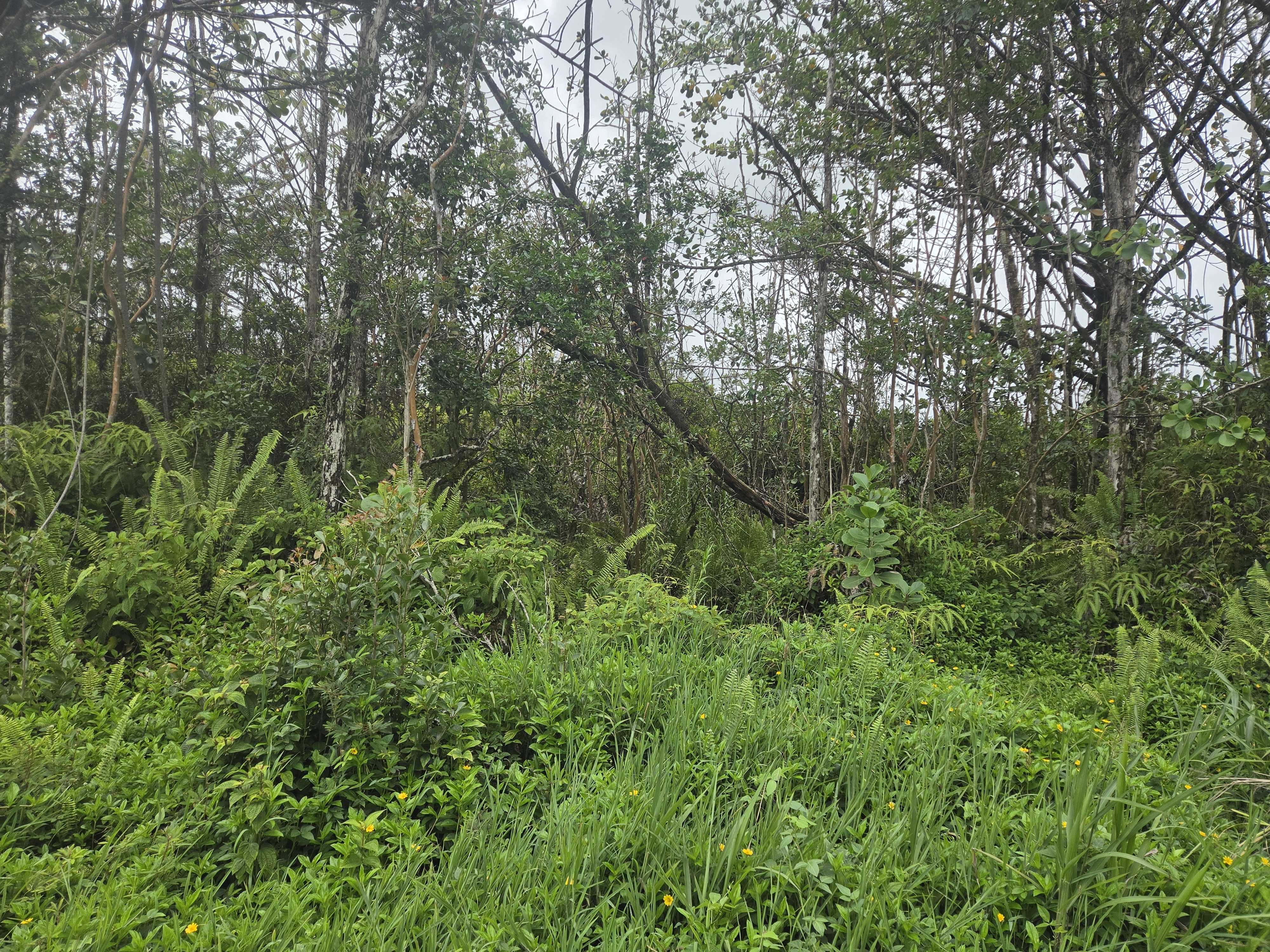 34TH AVE, Kurtistown, HI 96760