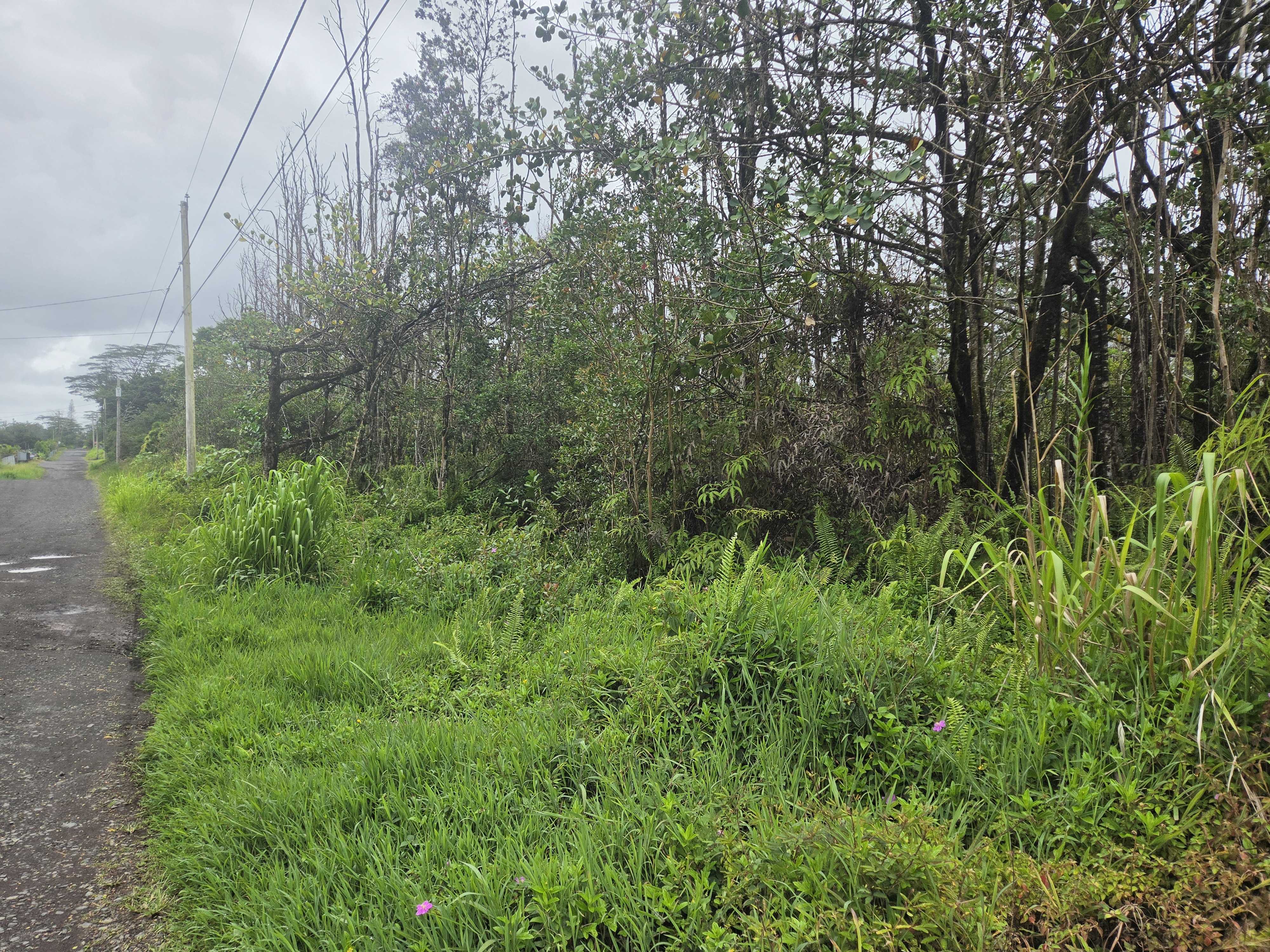 34TH AVE, Kurtistown, HI 96760