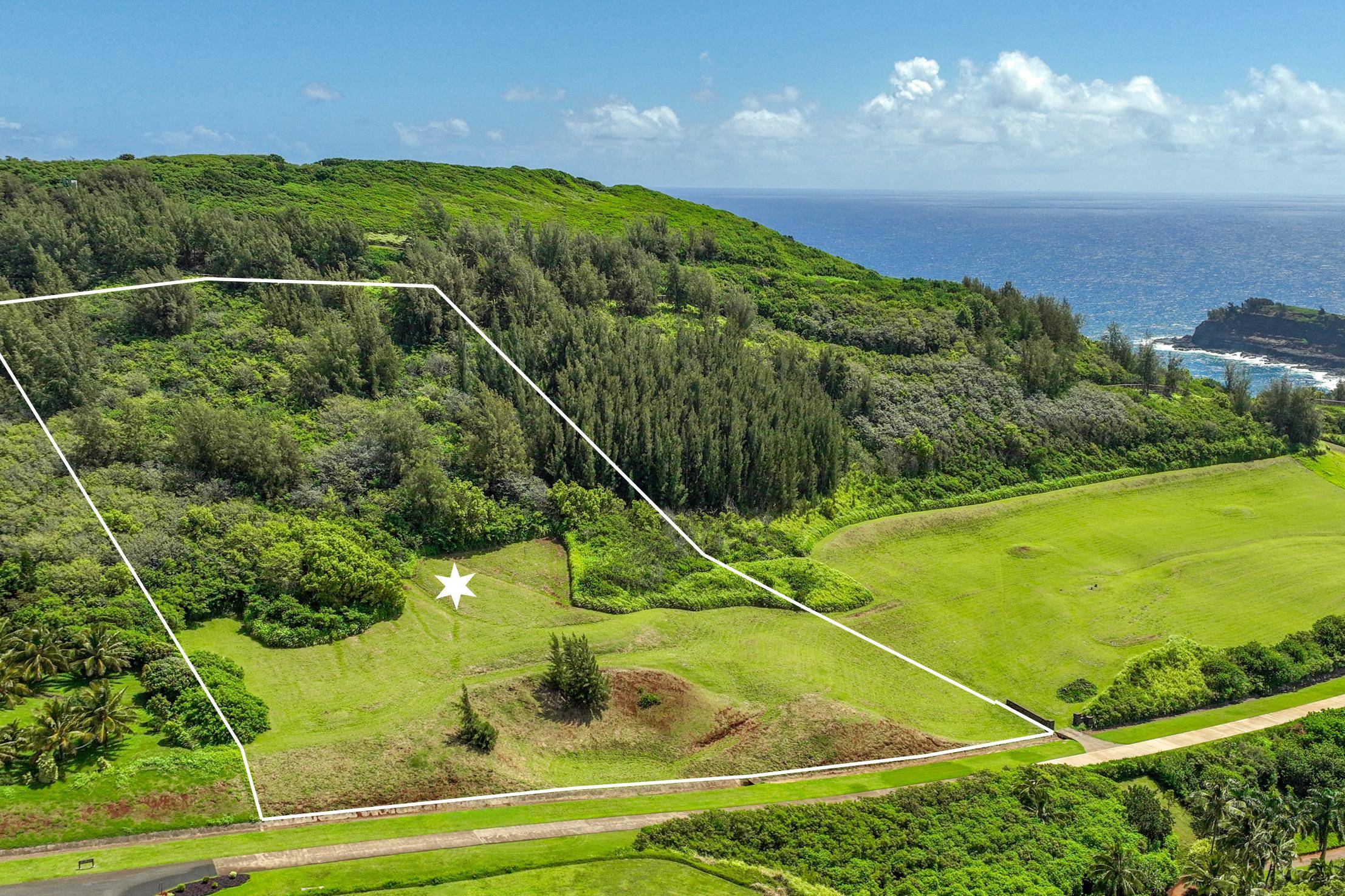 Makana Ano Pl #Lot 13, Kilauea, HI 96754