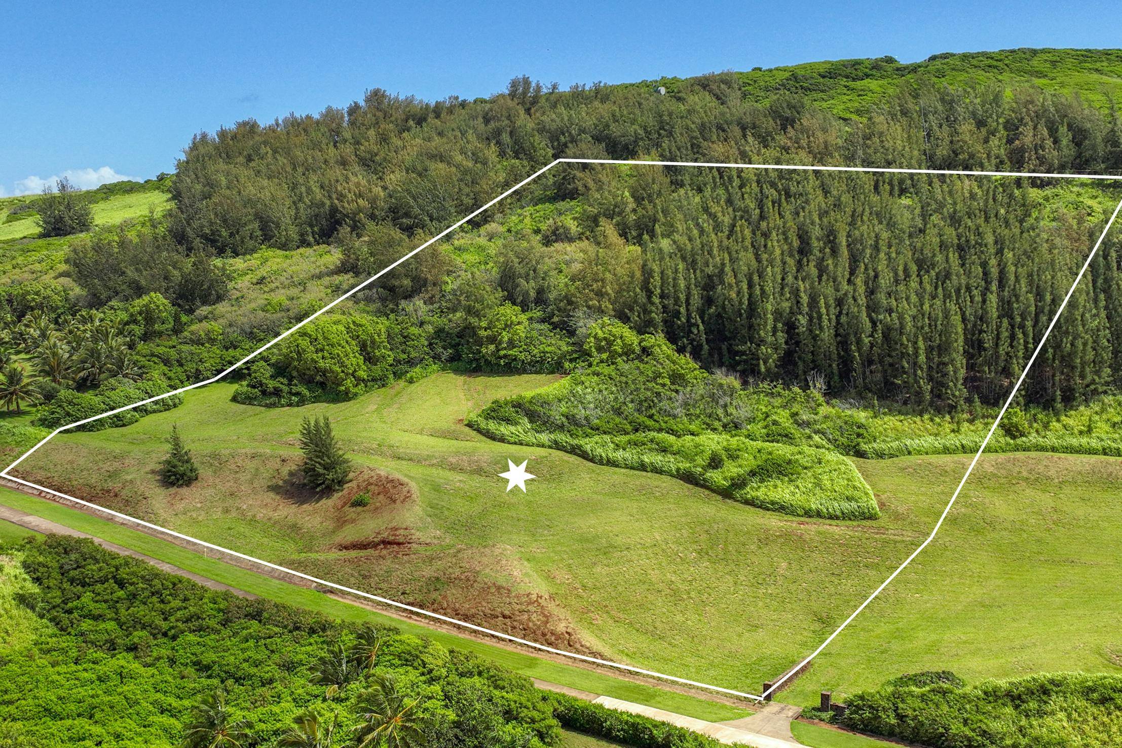 Makana Ano Pl #Lot 13, Kilauea, HI 96754