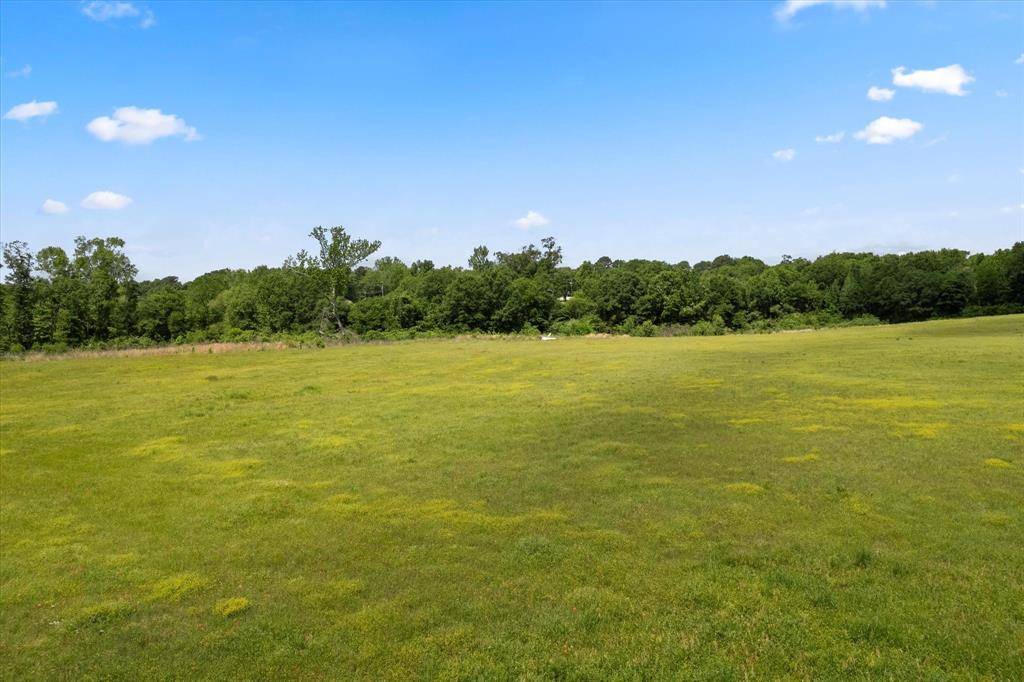 Lot 01 county rd 1309, Pittsburg, TX 75686