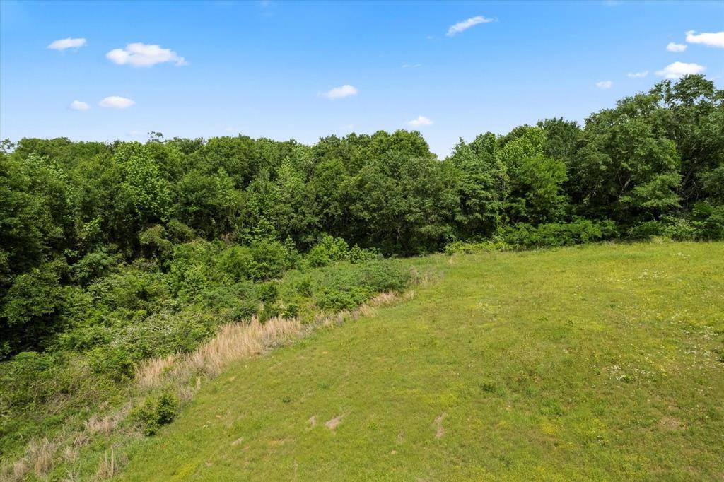 Lot 01 county rd 1309, Pittsburg, TX 75686