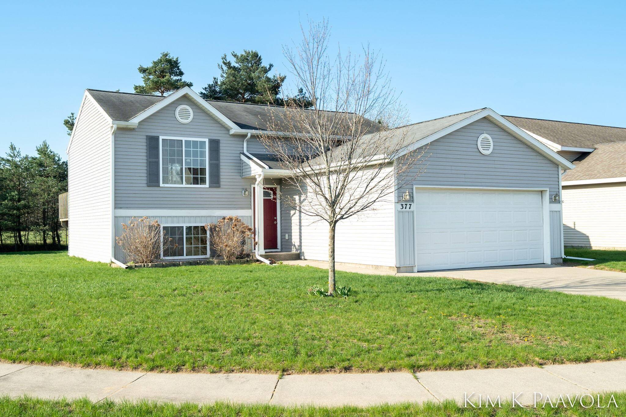 377 White Pine CT, Belding City, MI 48809