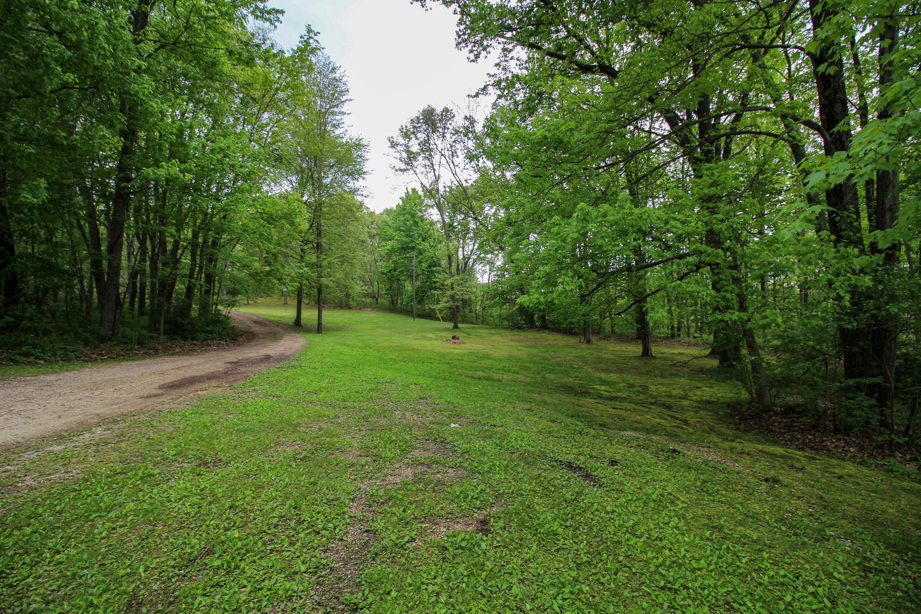 11111 Born ST, Newberg Twp, MI 49093