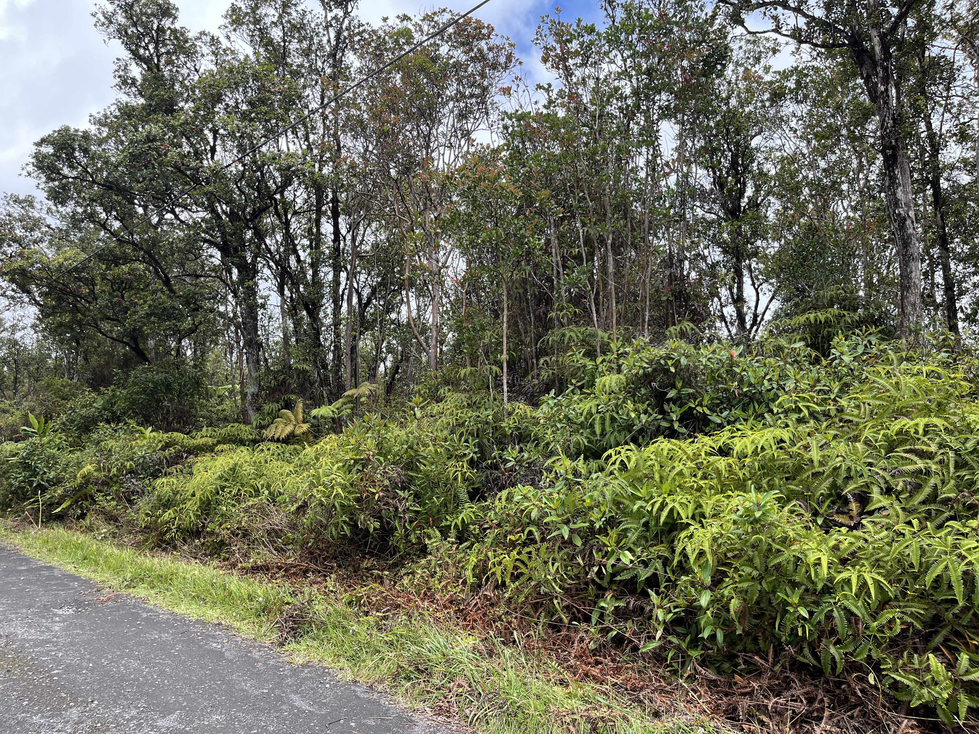 ALA NAULANI RD, Volcano, HI 96785