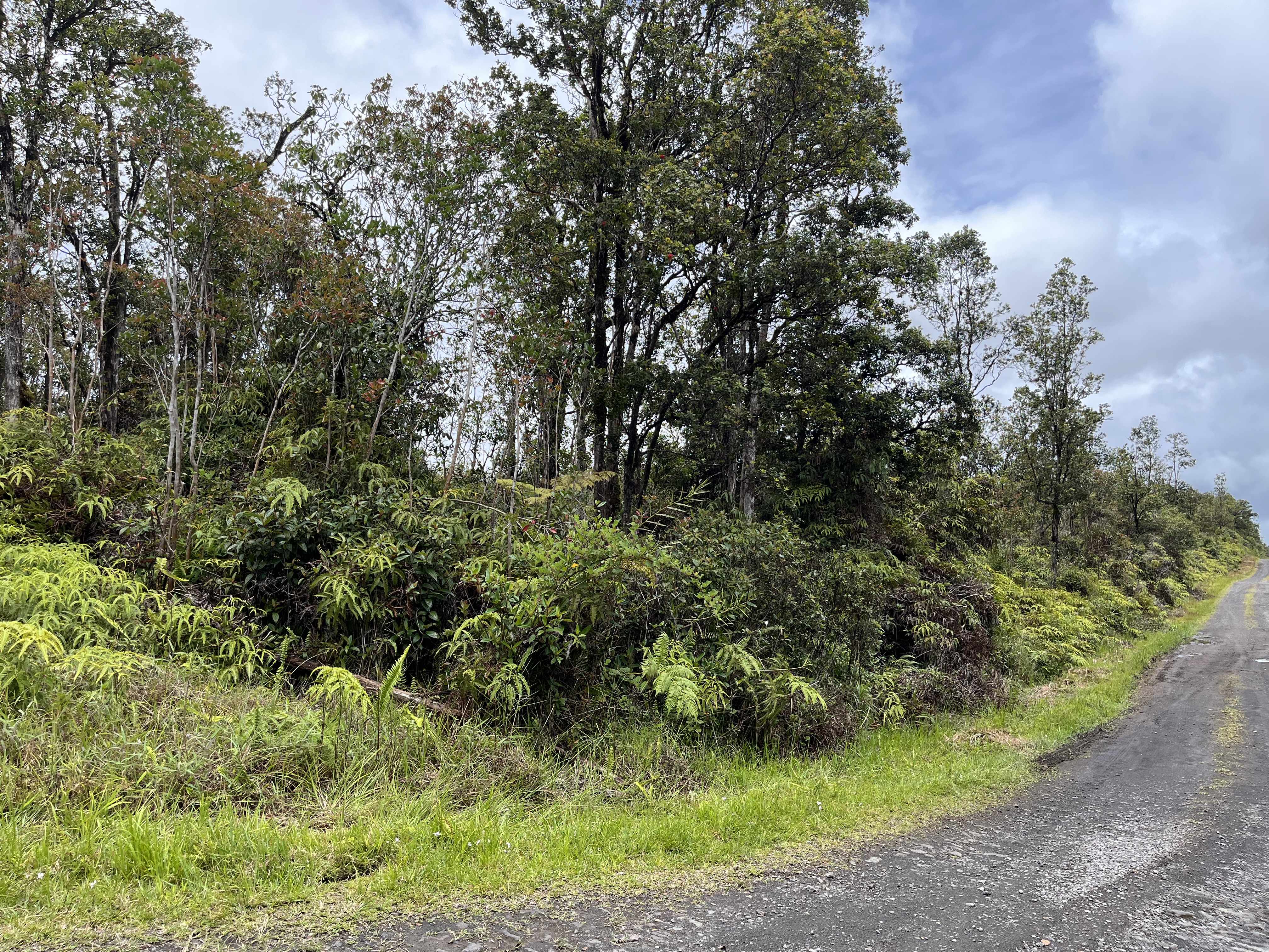 ALA NAULANI RD, Volcano, HI 96785