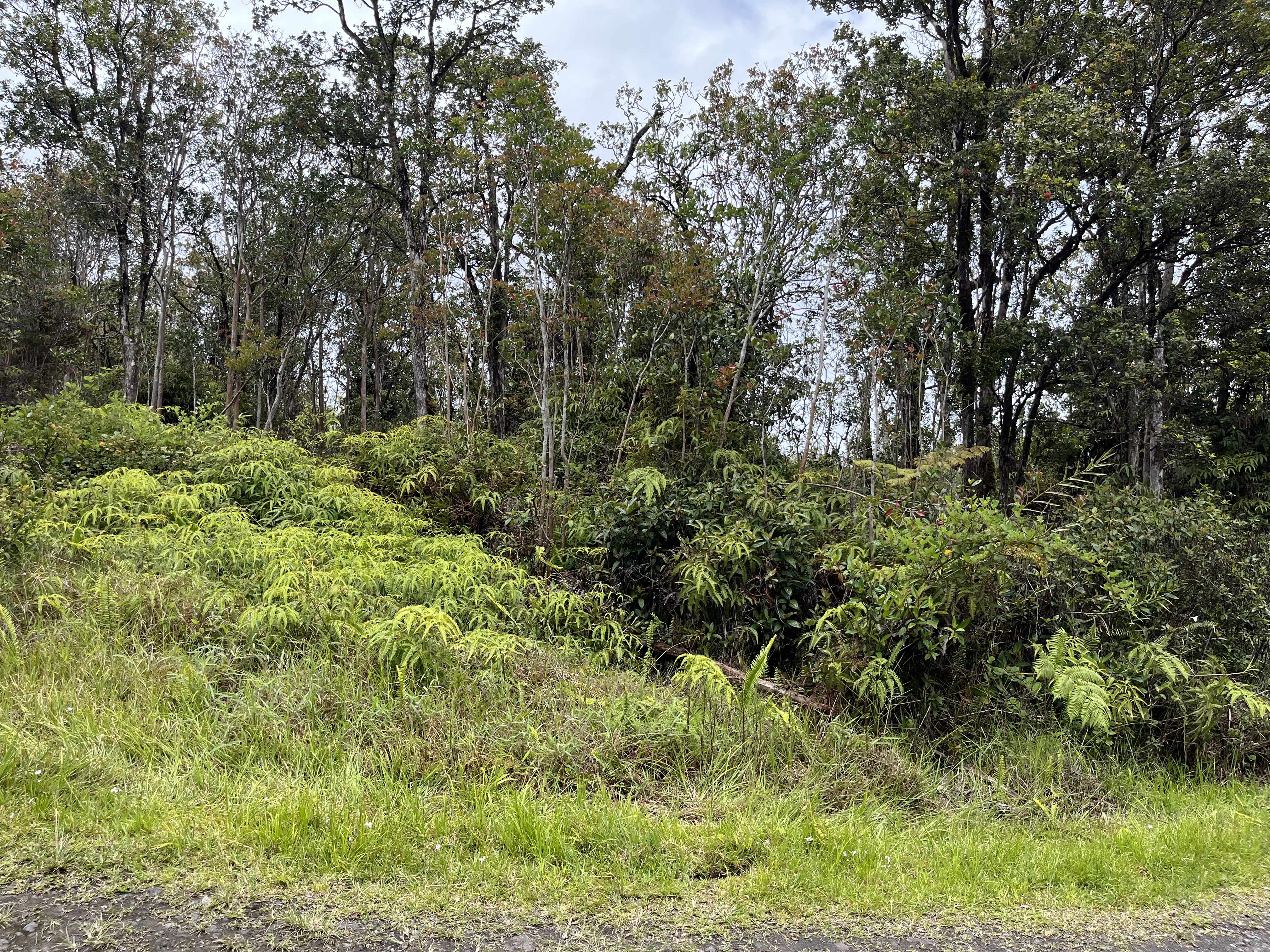 ALA NAULANI RD, Volcano, HI 96785
