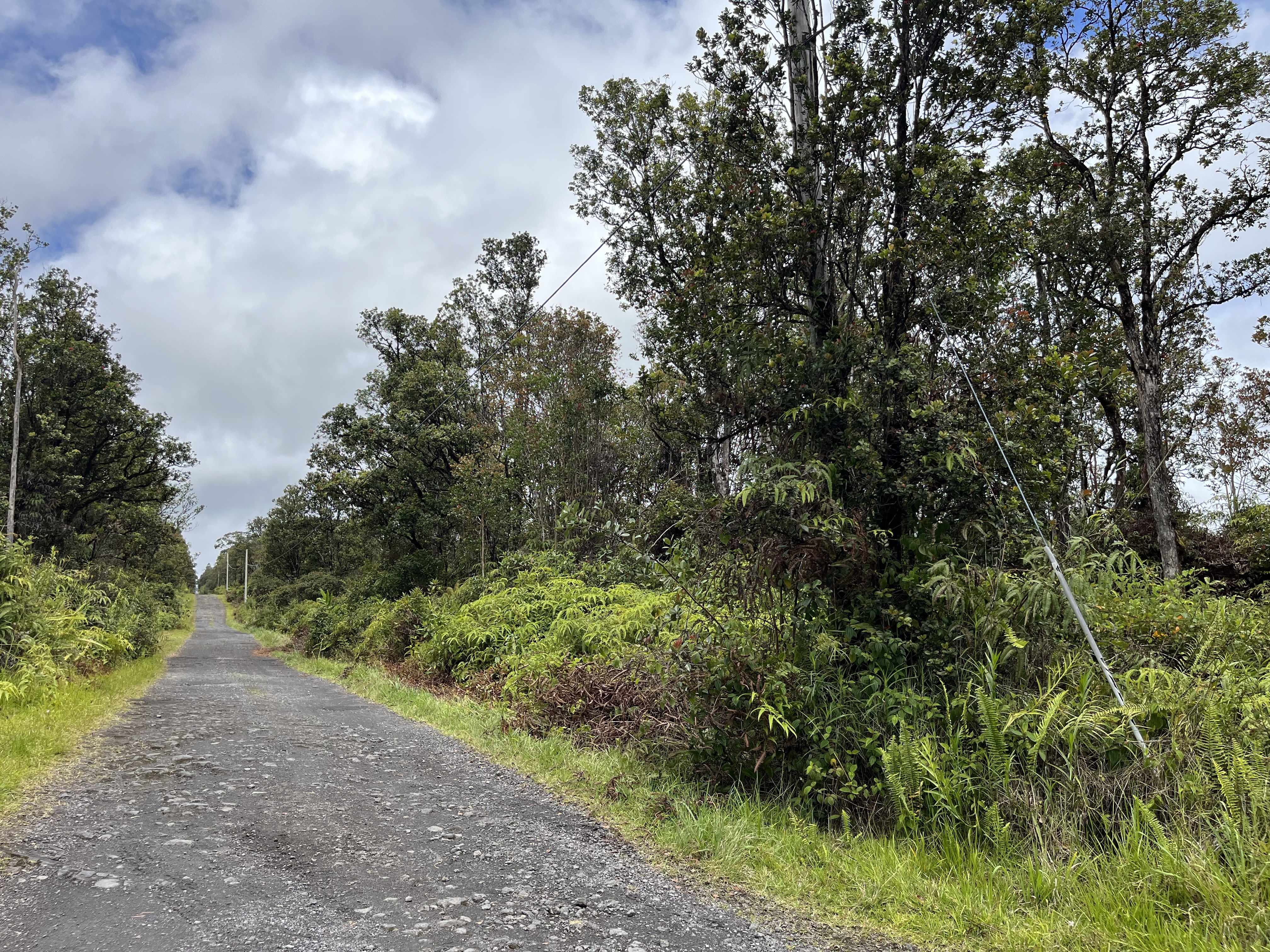 ALA NAULANI RD, Volcano, HI 96785