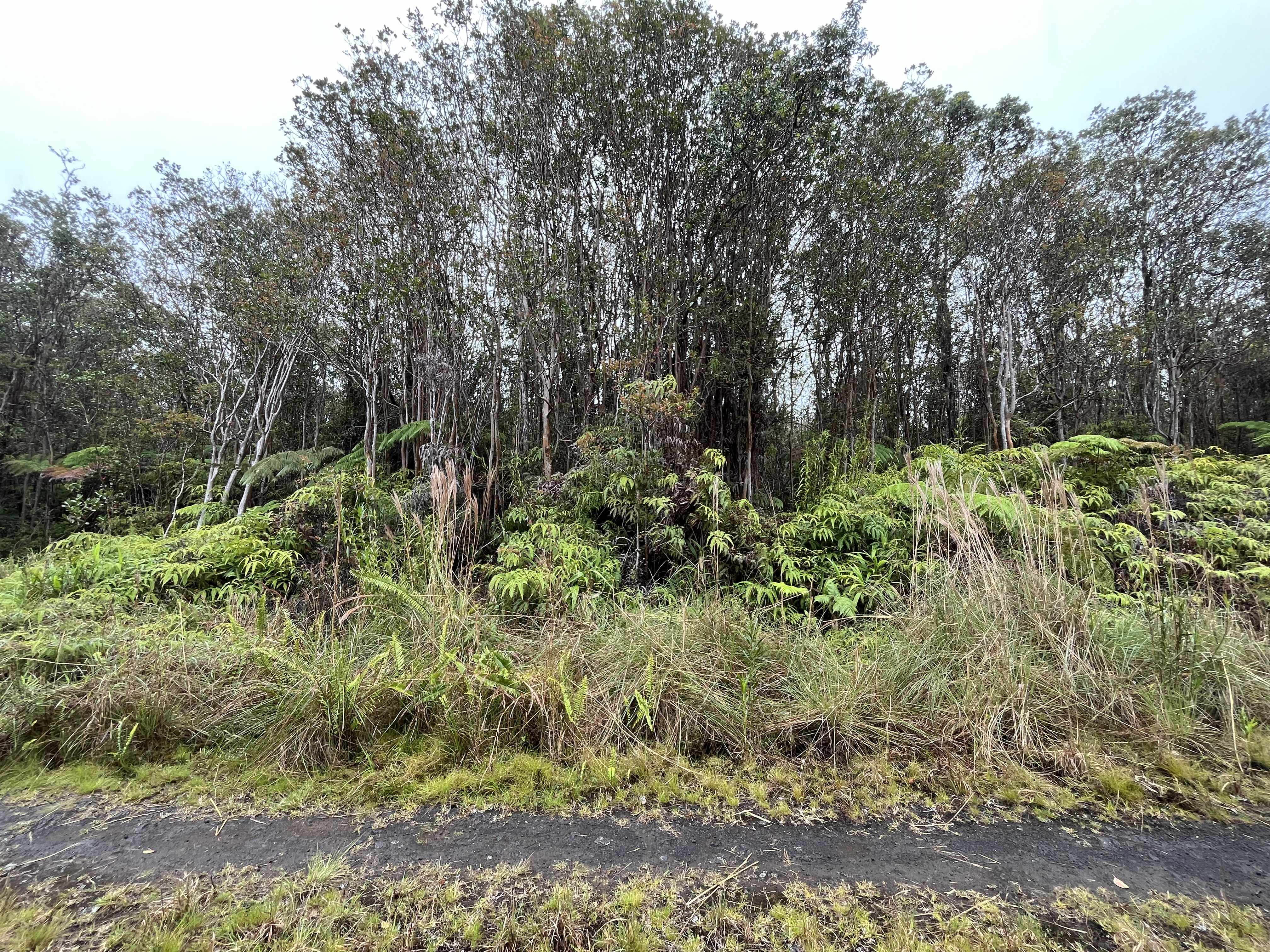 18-2328 OLA KINO RD, Mountain View, HI 96771