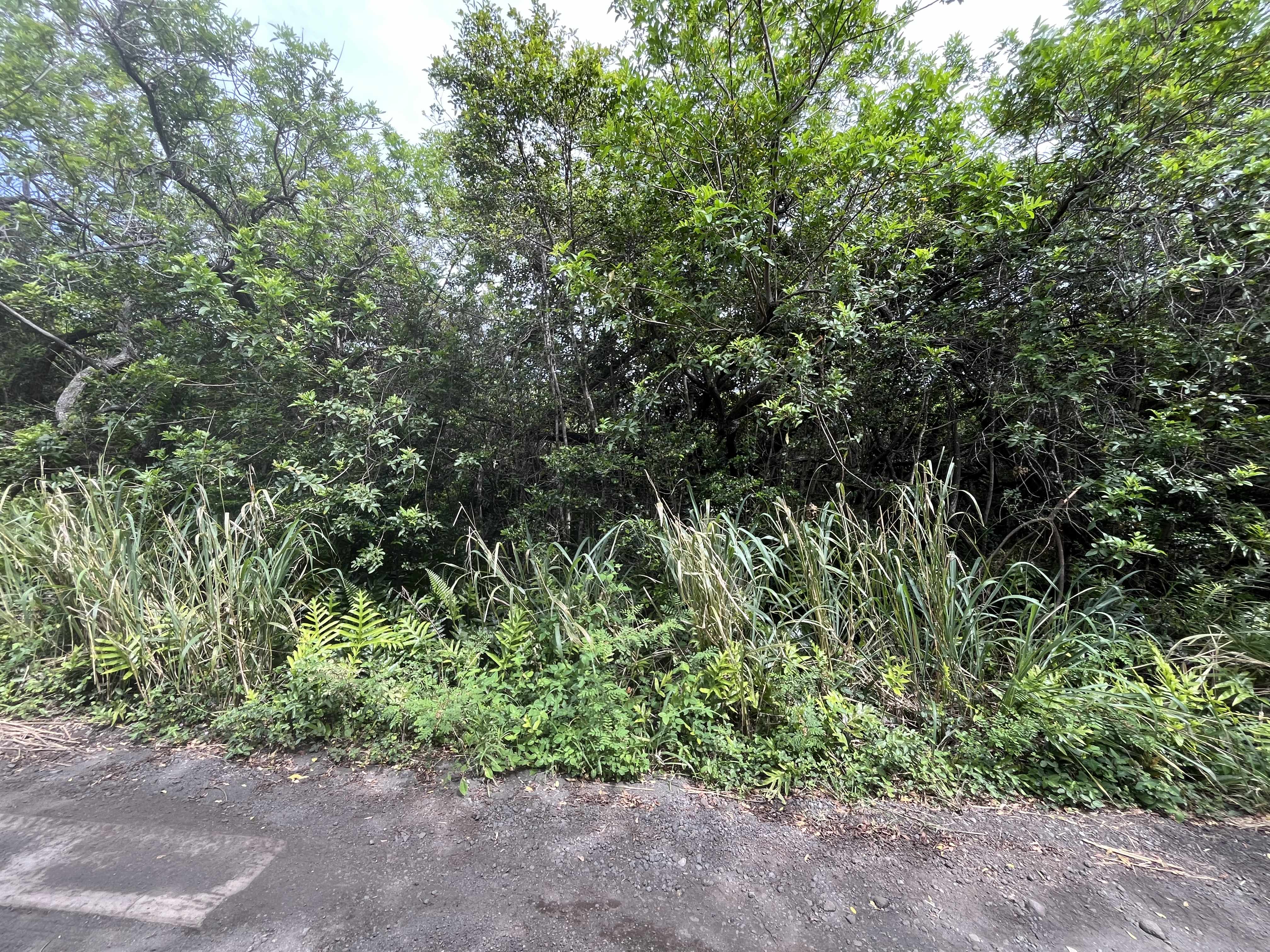 KEKUHAUPIO RD, Naalehu, HI 96772