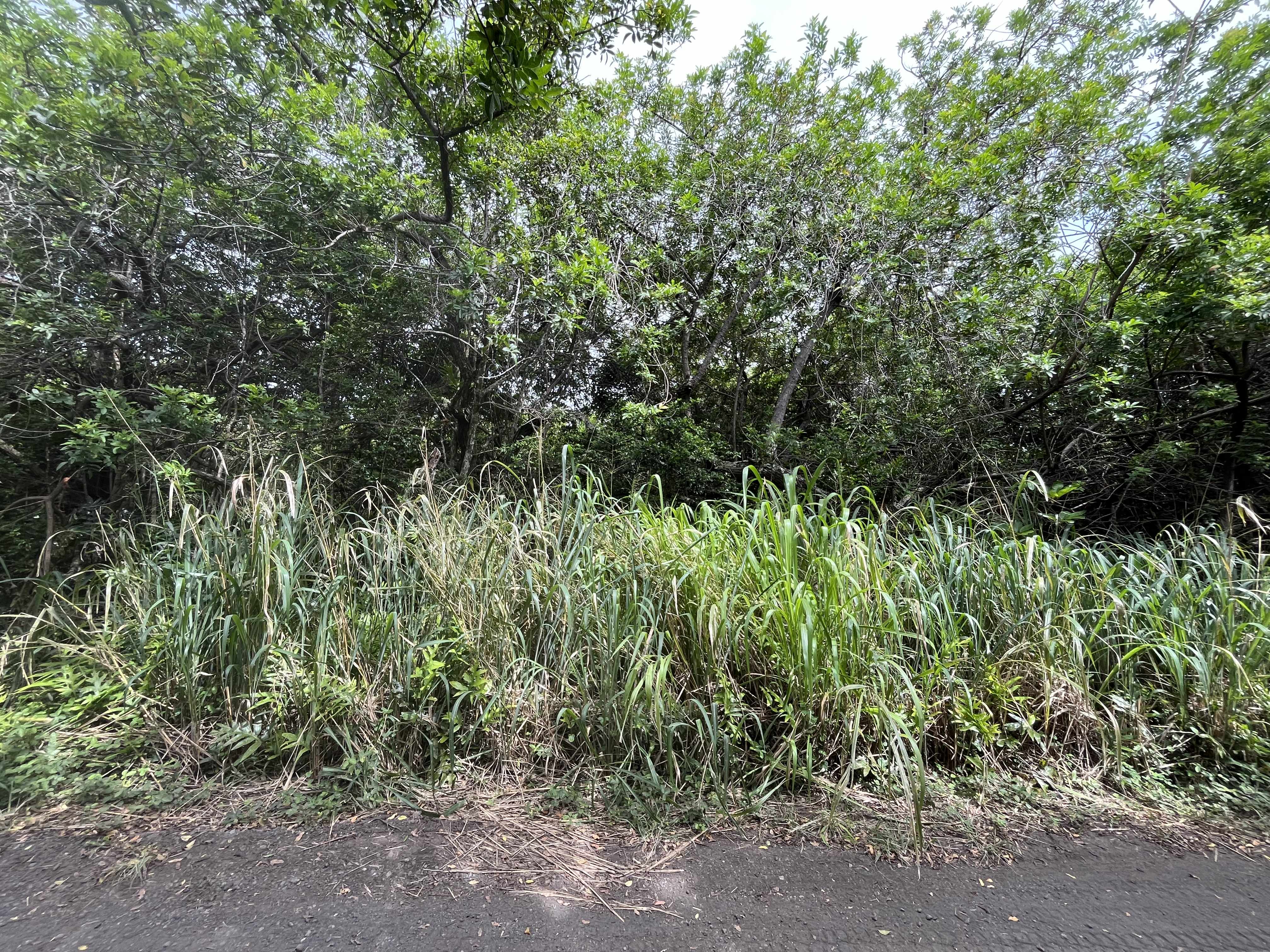 KEKUHAUPIO RD, Naalehu, HI 96772