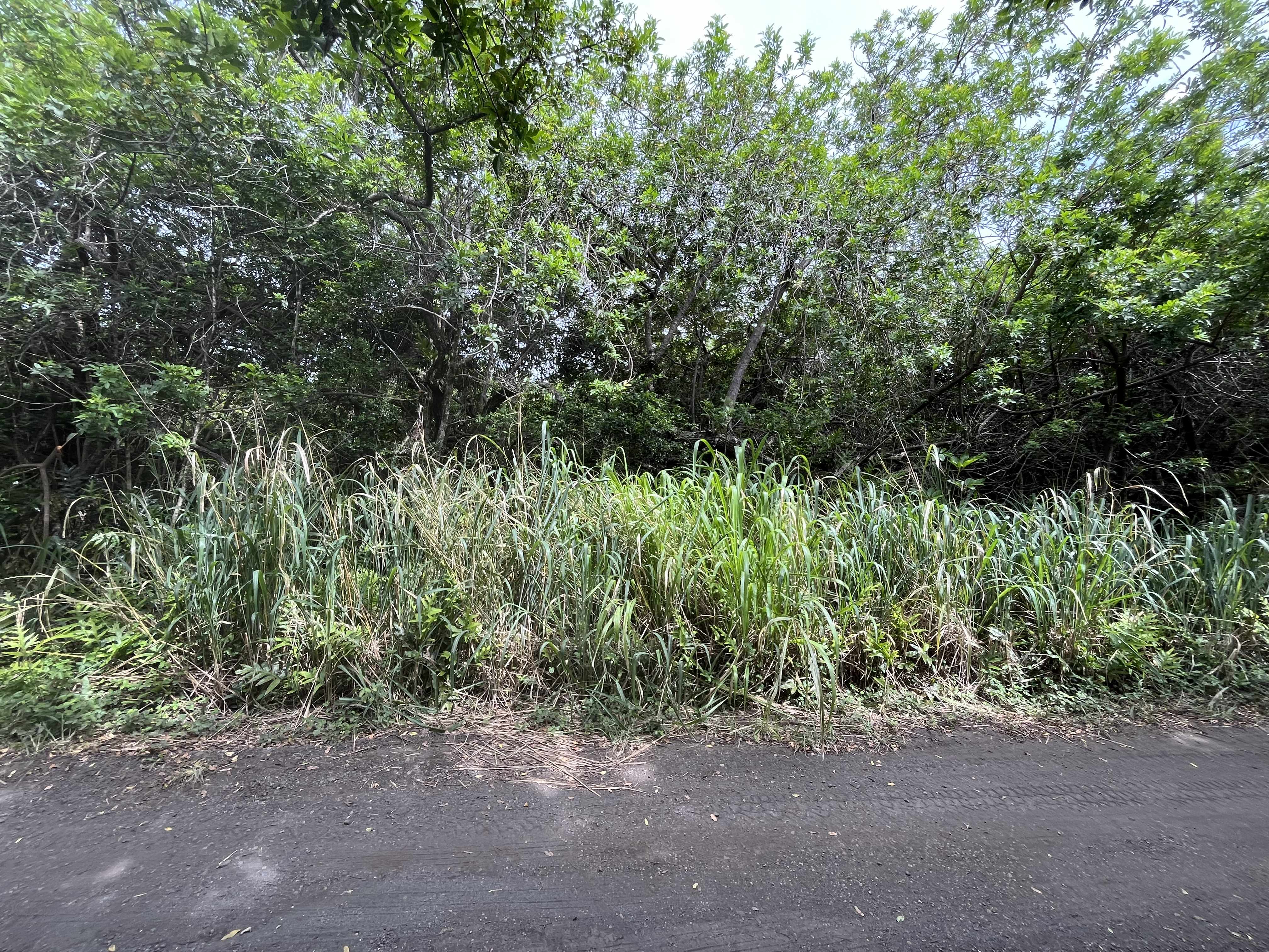KEKUHAUPIO RD, Naalehu, HI 96772