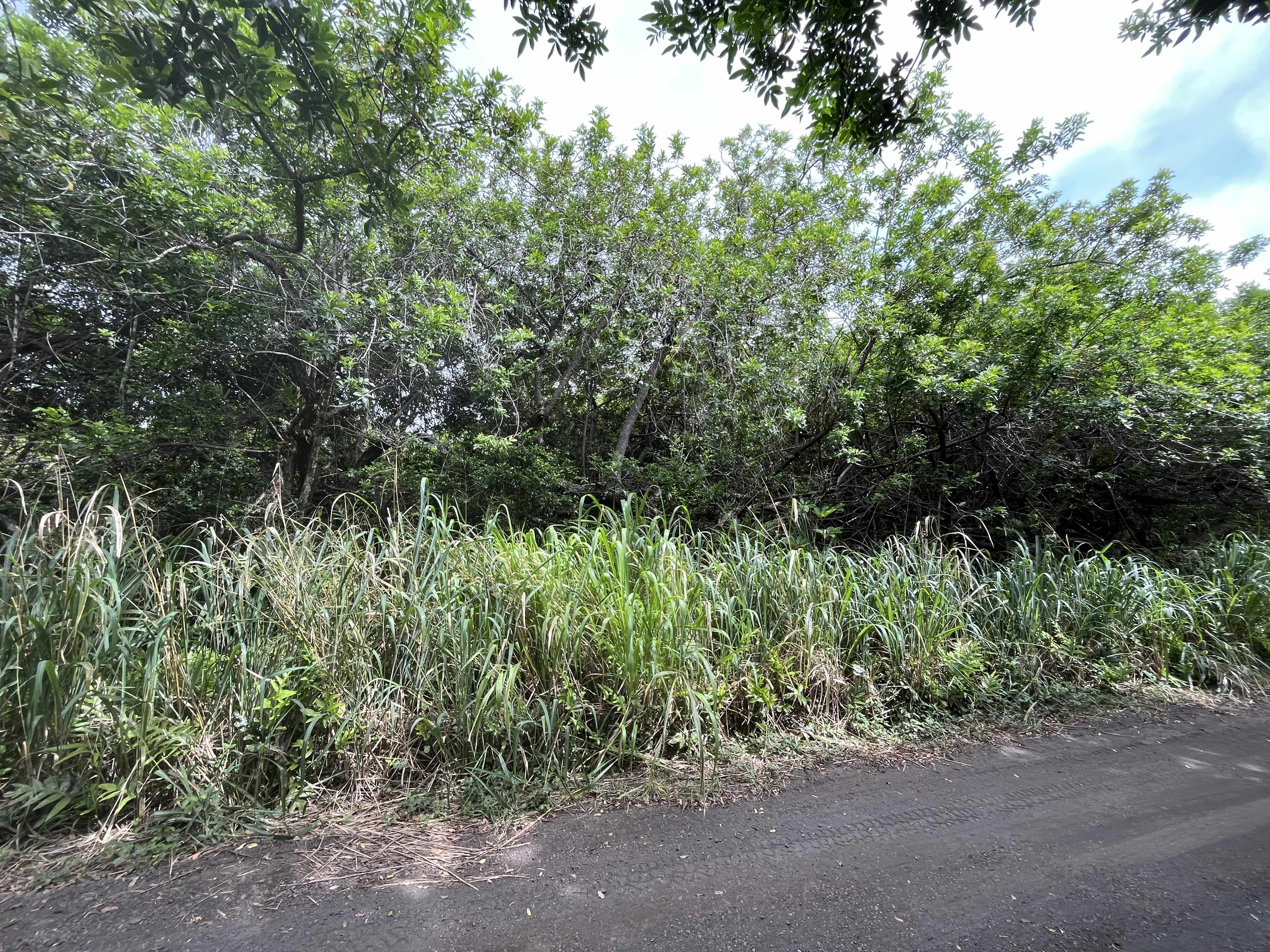 KEKUHAUPIO RD, Naalehu, HI 96772