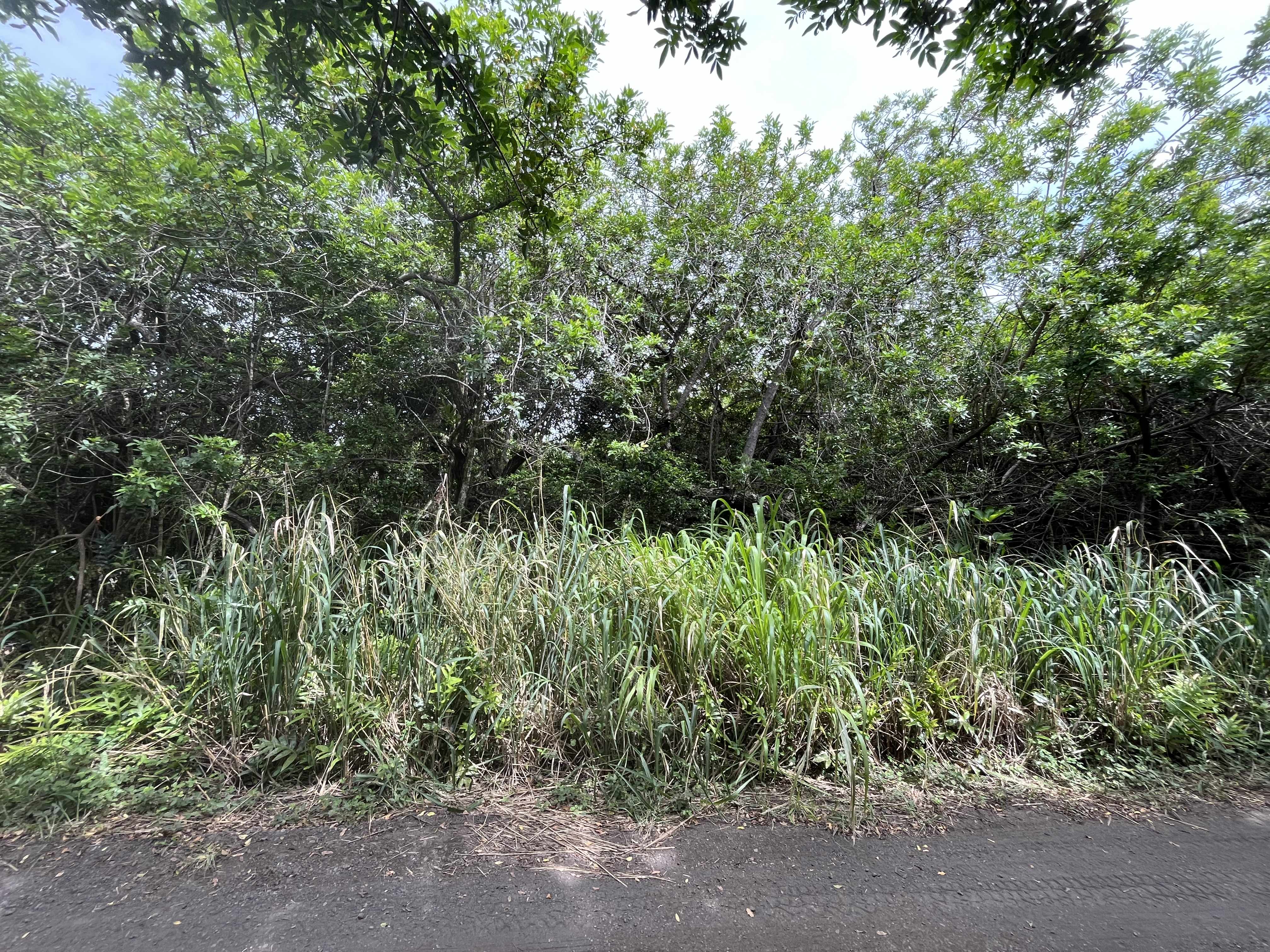KEKUHAUPIO RD, Naalehu, HI 96772