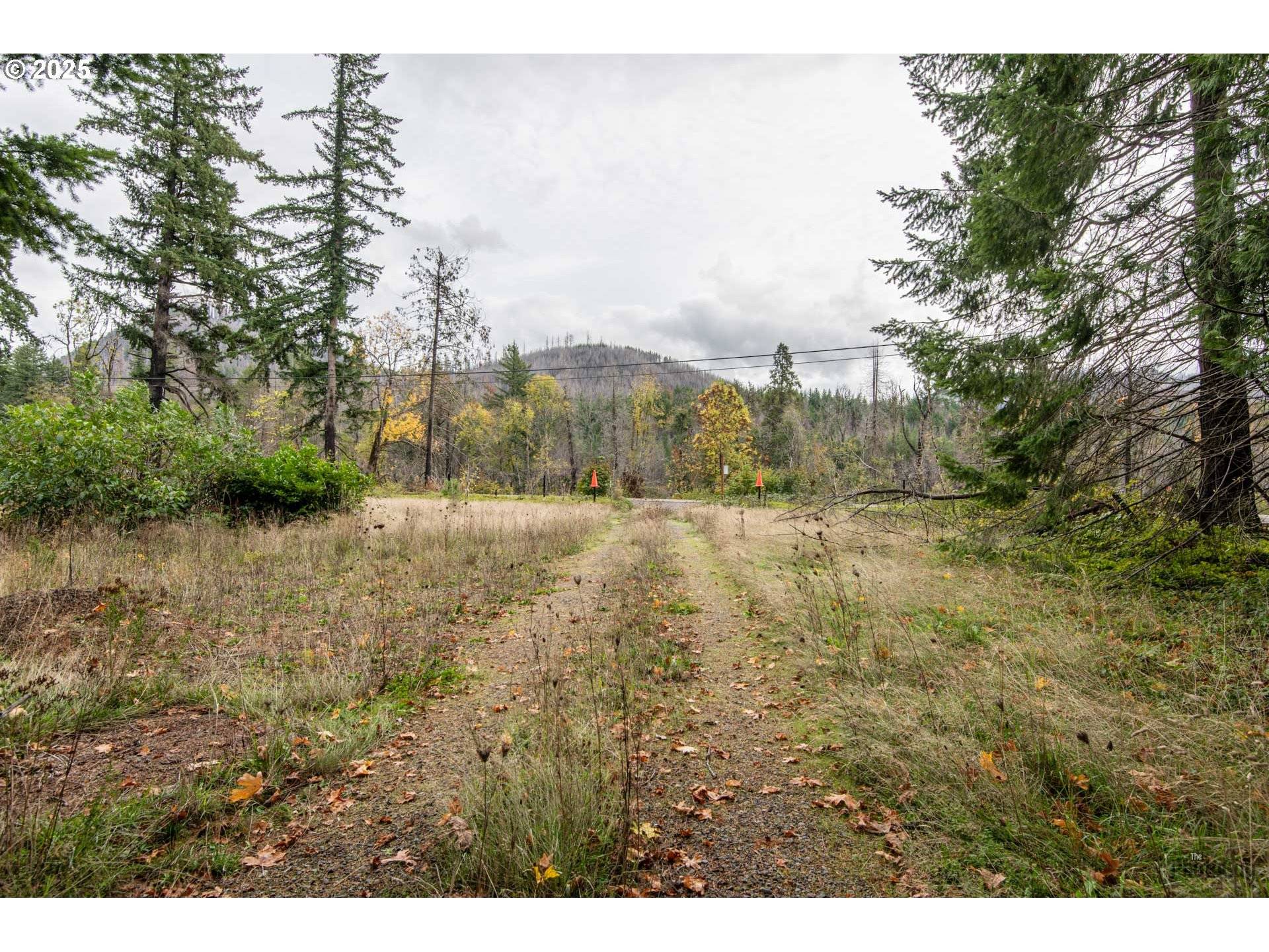 49687 MCKENZIE HWY, Vida, OR 97488