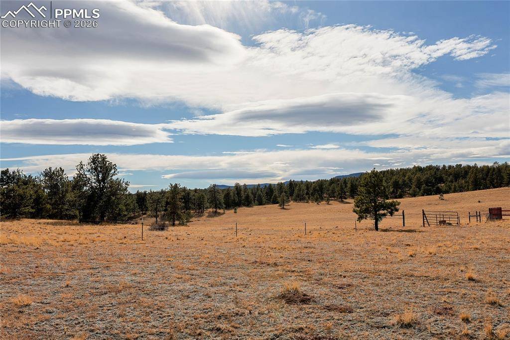 000 Twinkle RD, Guffey, CO 80820