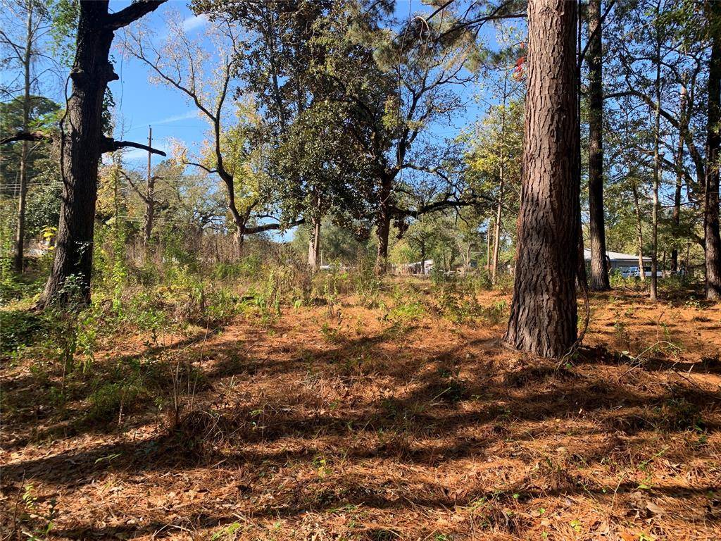 905 W Cayuga Drive, Athens, TX 75751
