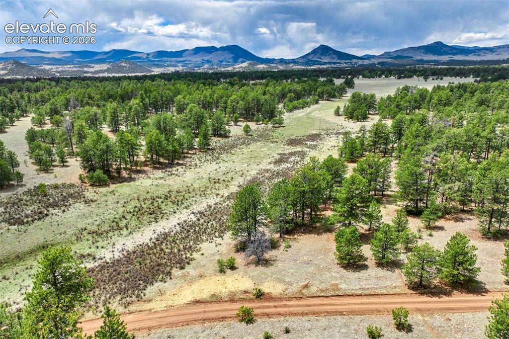 Tract 103 Doe Valley RD, Guffey, CO 80820